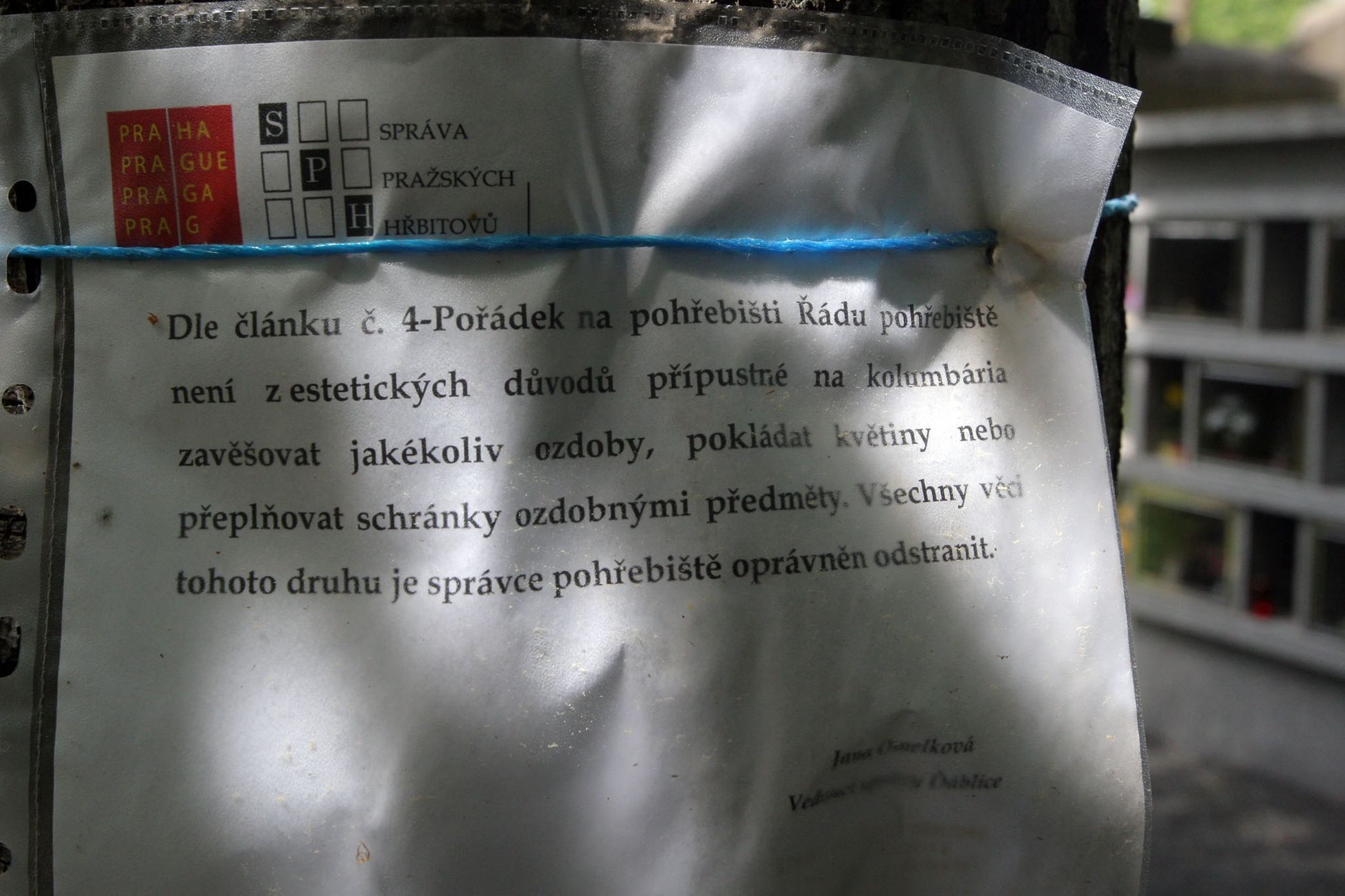 Les vzpomínek. Místo do hrobu pod strom.