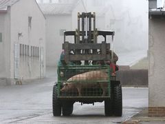 Today's Lety - pig farm instead of a proper memorial for the Roma people who died in the former concentration camp here