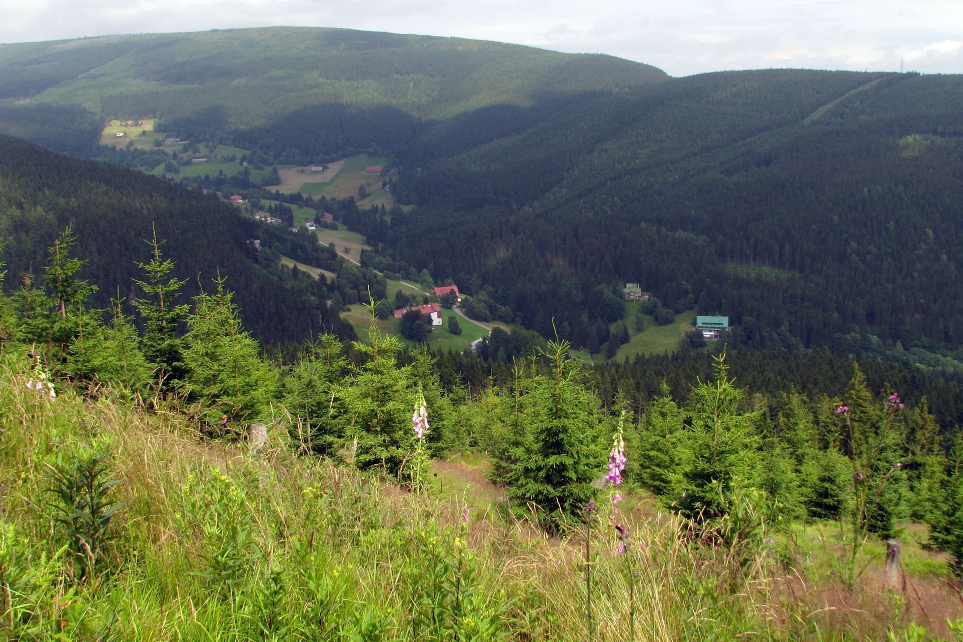 Krkonošský národní park