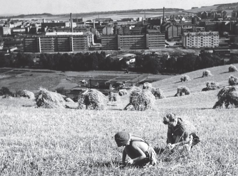 kolonie, nouzová kolonie, Hrdlořezy, Praha, bydlení