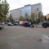 Petice za šumavskou divočinu