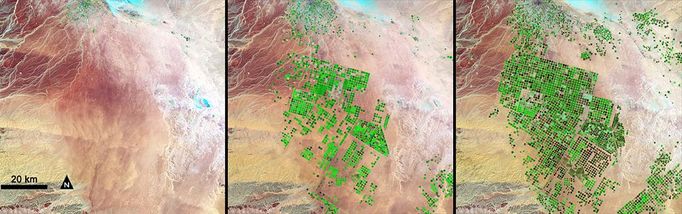 http://climate.nasa.gov/state_of_flux#Agriculturalgrowth_SaudiArabia1.jpg Agricultural growth, Saudi Arabia Only a few centimeters (about one inch) of rain falls in the Saudi Arabian desert each year, but crops still grow thanks to aquifers deep below the surface, which contain water trapped during the last Ice Age and rainwater that fell over several hundred thousand years. Saudi Arabia drills through the desert floor and irrigates the fields with a circular sprinkler system known as center-pivot irrigation. Hydrologists estimate that it will be economical to pump this water only for about 50 more years. In these images, the agricultural fields are about one kilometer (0.6 miles) across. Healthy vegetation appears bright green while dry vegetation looks orange. Barren soil is dark pink and urban areas, like the town of Tubarjal at the top of each image, are purple. See also this image. Images taken by the Thematic Mapper sensor onboard Landsat 4 and 5, and the Enhanced Thematic Mapper Plus sensor onboard Landsat 7. Source: NASA/Aries Keck, Goddard Space Flight Center.