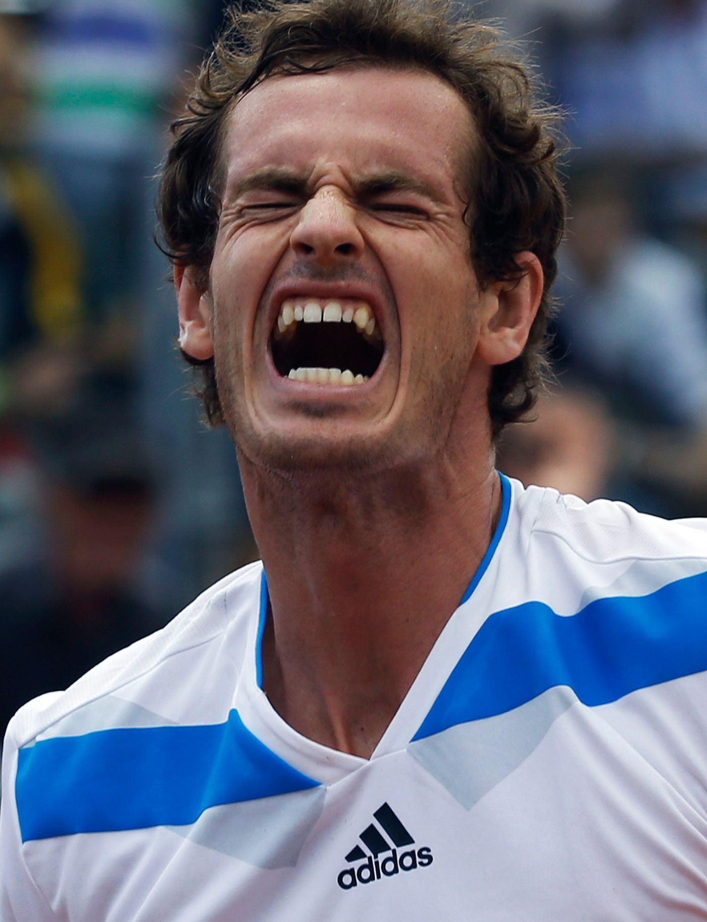 Andy Murray při Davis Cupu