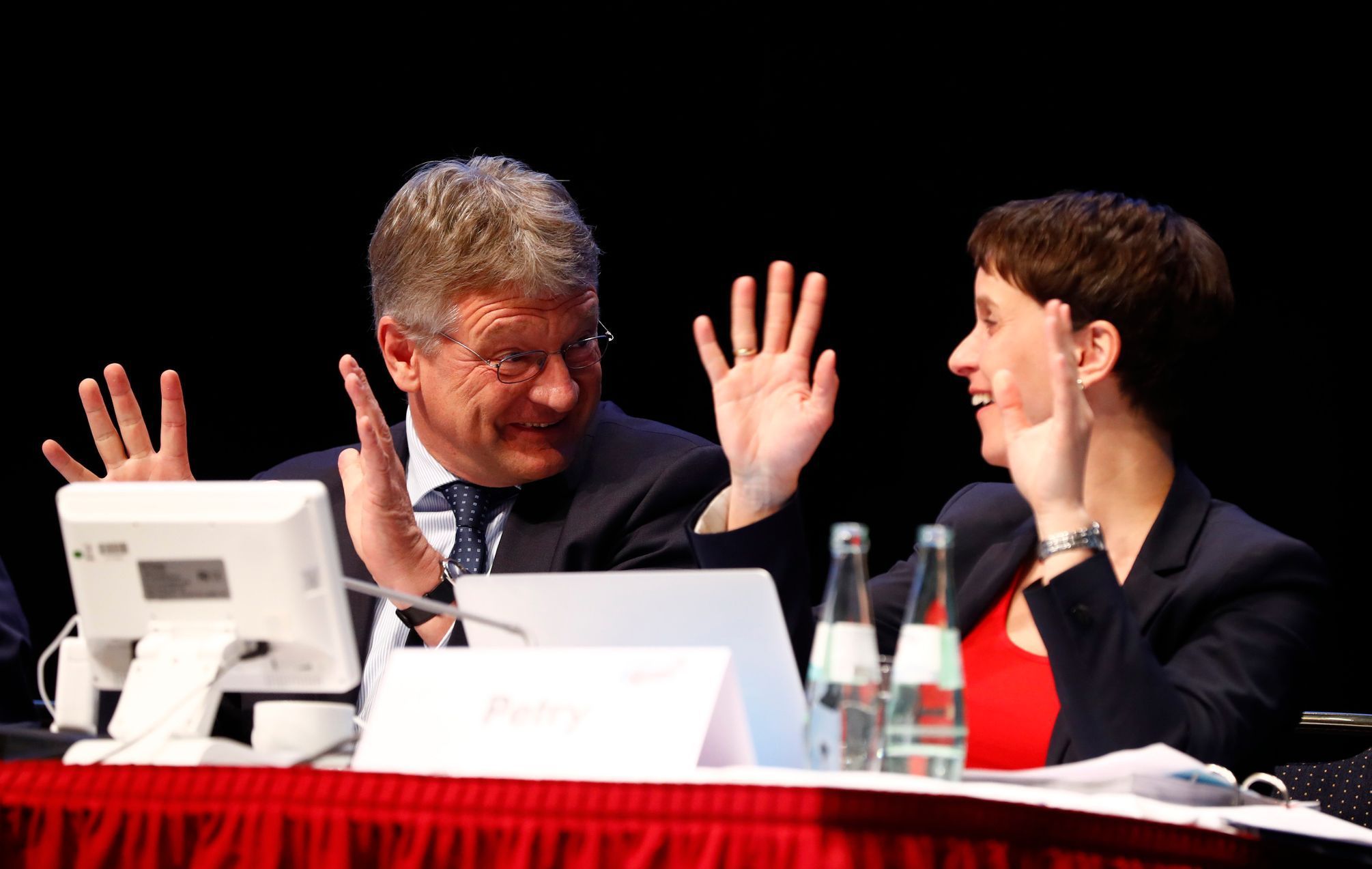 Alternativa pro Německo (AfD), sjezd v Kolíně, Frauke Petryová, Jörg Meuthen