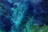 Čukotské moře. Barevné obrazce ve vodě vytváří fytoplankton. Snímek byl pořízen 18. června zařízením Operational Land Imager z družice Landsat 8.