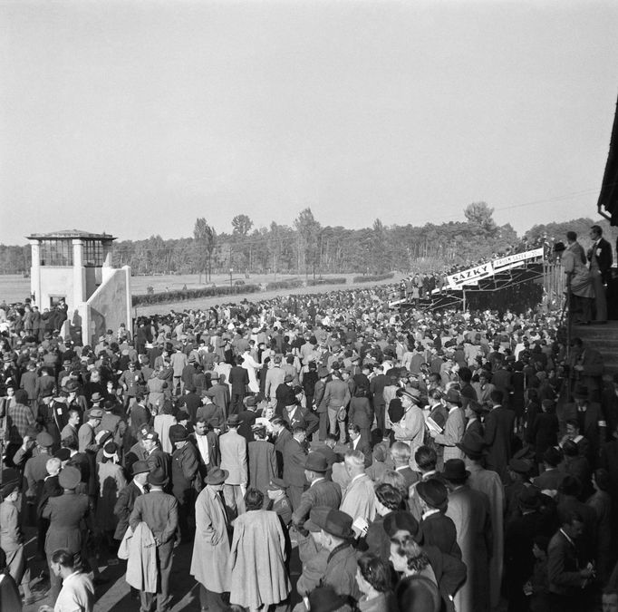 Diváci sledují 58. ročník Velké pardubické steeplechase, který se konal 12. října 1947 na dostihovém závodišti v Pardubicích.