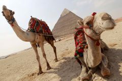 Prodeje zájezdů do Egypta po pádu letadla zpomalily. Ministerstvo nedoporučuje dovolenou rušit