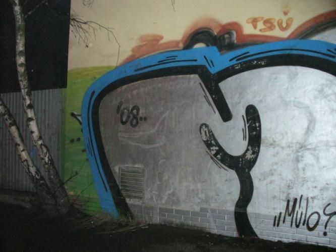 Zadržení sprejerů v Ostravě