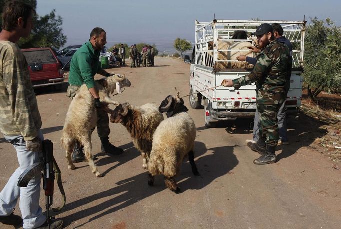 Free Syrian Army fighters take sheep to slaughter and distribute meat to residents on the third day of Eid al-Adha, in Haram town, Idlib Governorate, October 28, 2012. REUTERS/Asmaa Waguih (SYRIA - Tags: CONFLICT RELIGION ANIMALS) Published: Říj. 28, 2012, 10:03 odp.