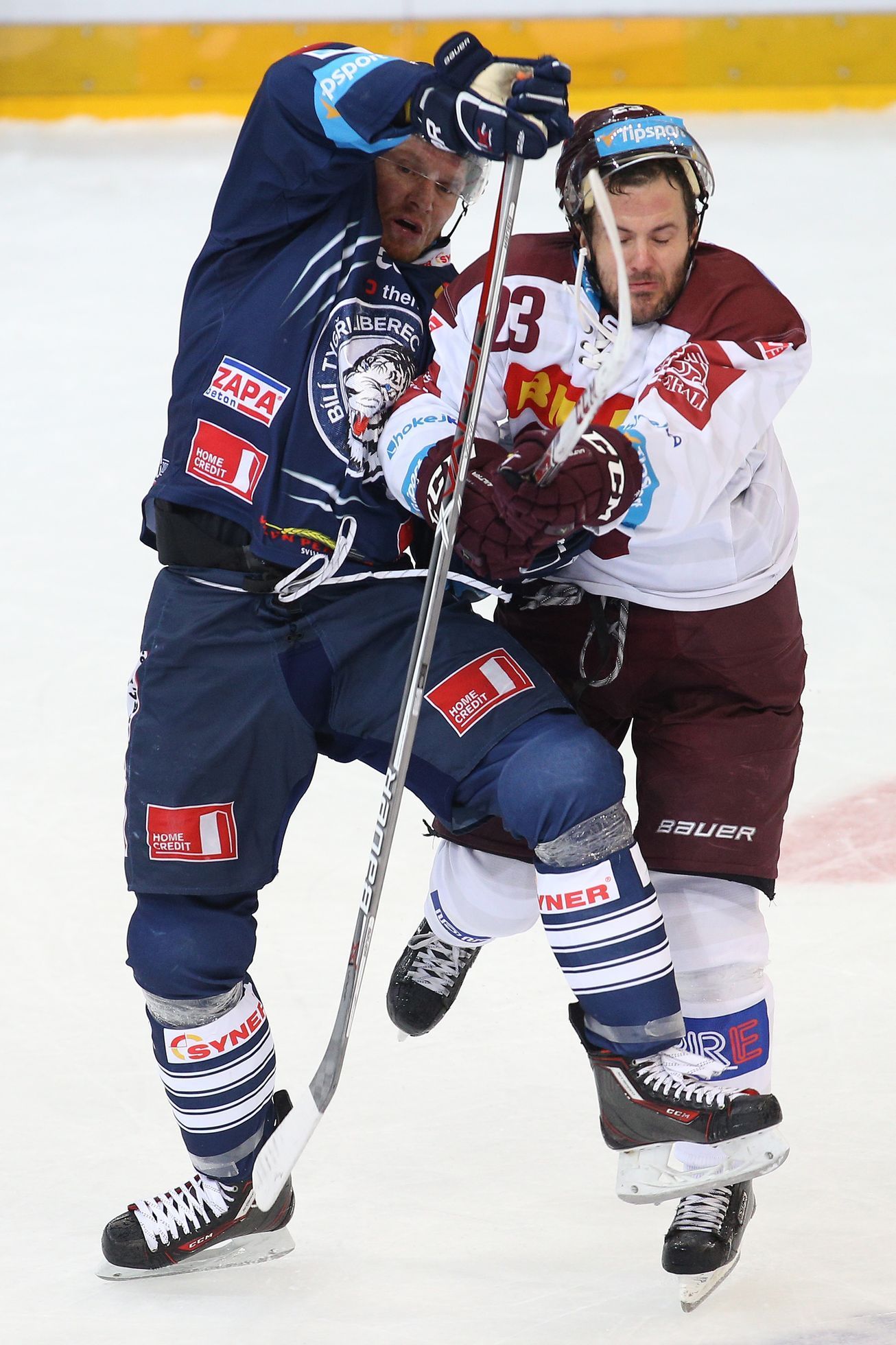 Bílí Tygři Liberec - HC Sparta Praha, extraliga 2016/17, Lukáš Pech, Milan Bartovič