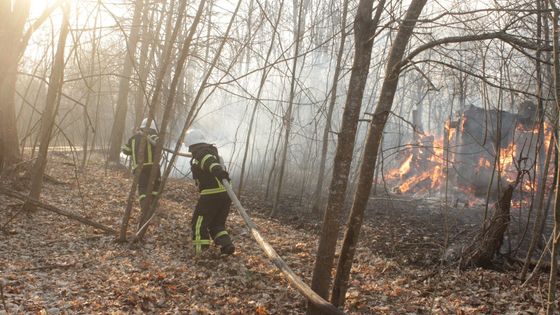 Foto: Lesy u Černobylu už jen doutnají, hlásí úřady. Aktivisté varují před radiací