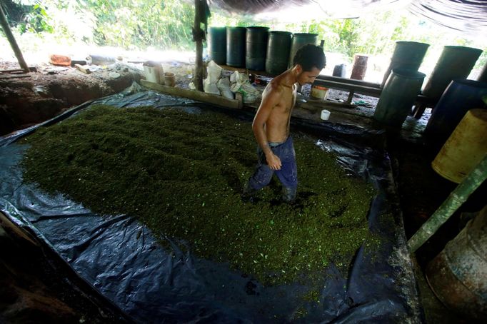 Obchod s drogami v jihoamerické Kolumbii kvete. Na více než 460 000 akrech kolumbijské půdy stále roste koka. Žádná jiná plodina zemědělcům nevydělá tolik peněz.