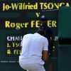 Wimbledon 2011: Jo-Wilfried Tsonga