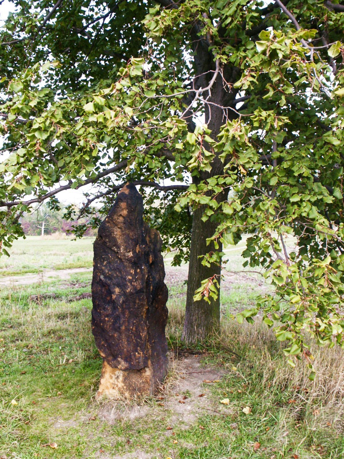 Menhir