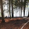 Požáry lesního porostu na Náchodsku a Rychnovsku