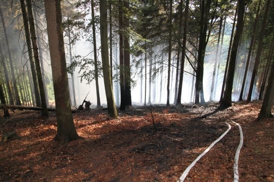 Požáry lesního porostu na Náchodsku a Rychnovsku