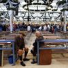 Oktoberfest, pivní slavnosti v Mnichově