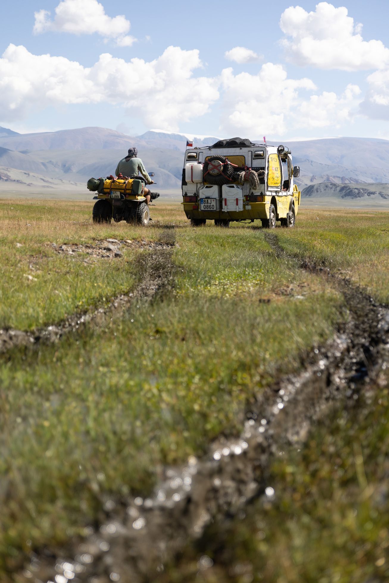 Dan Přibáň Žlutá žába