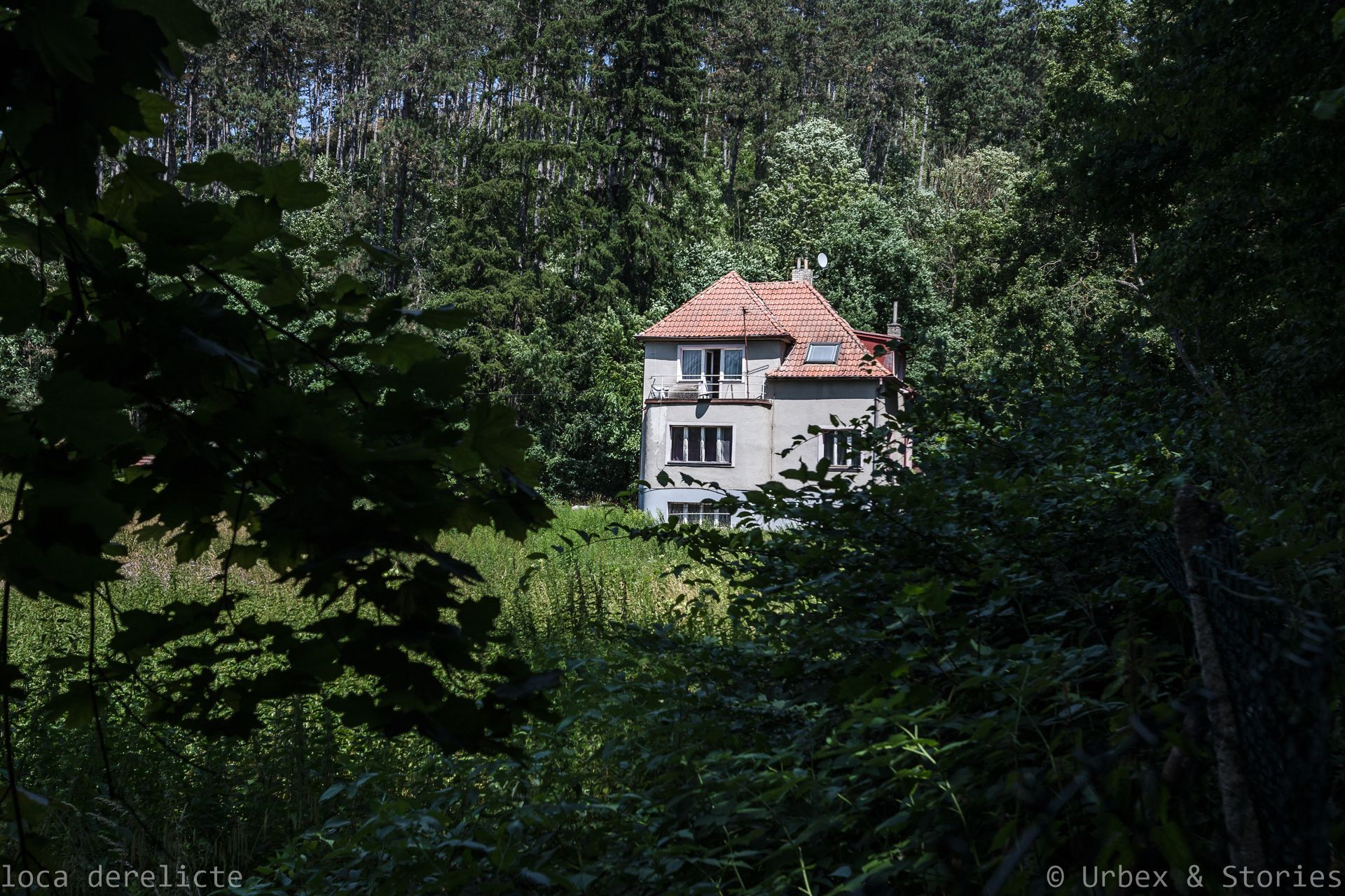 rubex, bdsm, květiny, vla, mord, opuštěná místa