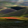Rozkvetlá letní pole v okolí italské vesnice Castelluccio di Norcia