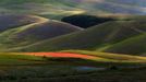 Rozkvetlá letní pole v okolí italské vesnice Castelluccio di Norcia