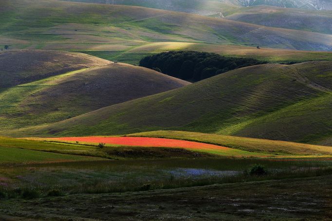 Rozkvetlá letní pole v okolí italské vesnice Castelluccio di Norcia