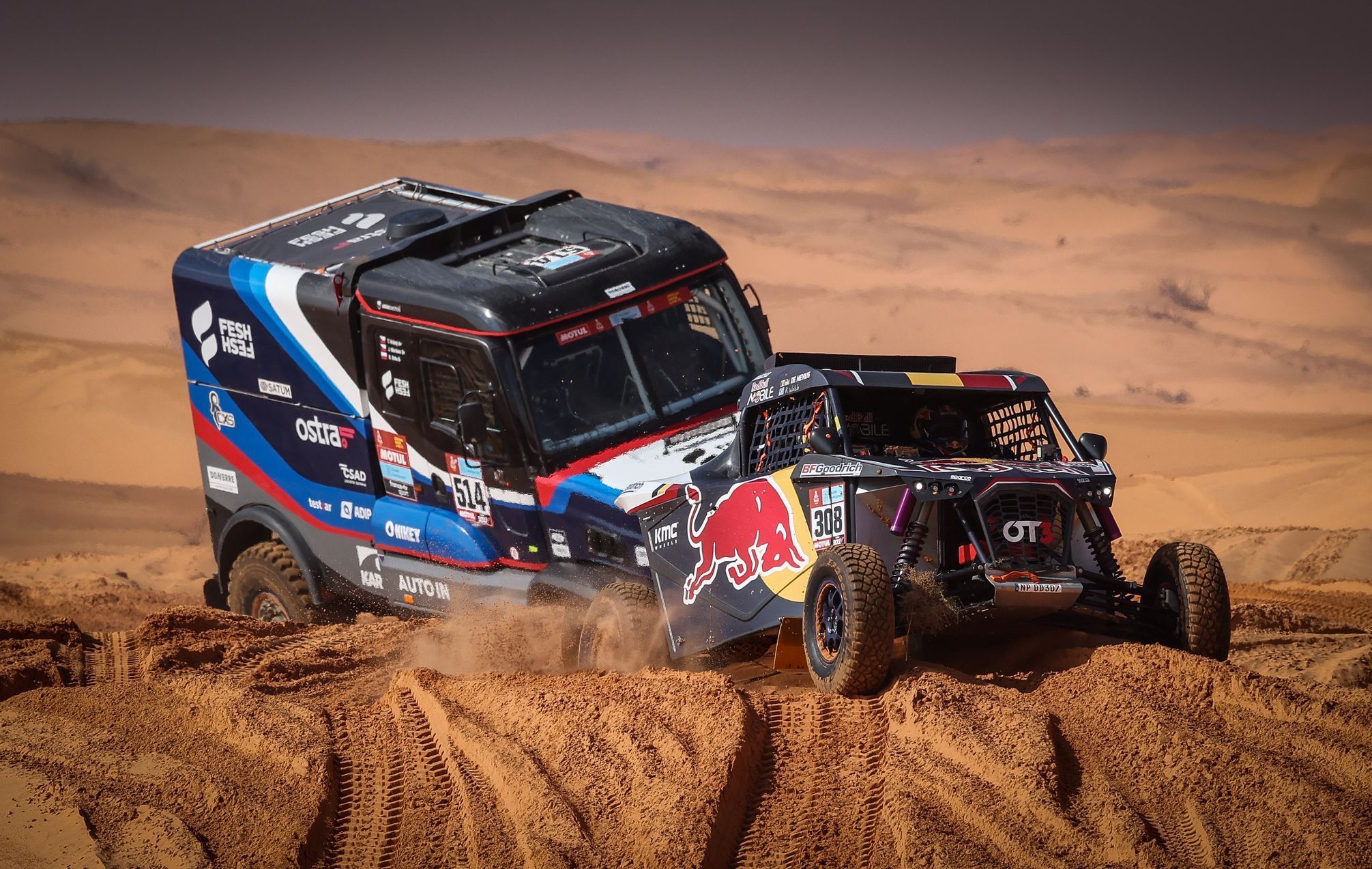 Tomáš Vrátný, Ford a Guillaume de Mevius, OT3 na Rallye Dakar 2022