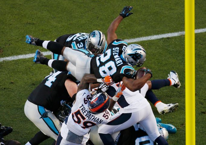 NFL, Super Bowl 50: Jonathan Stewart, Carolina Panthers (28)