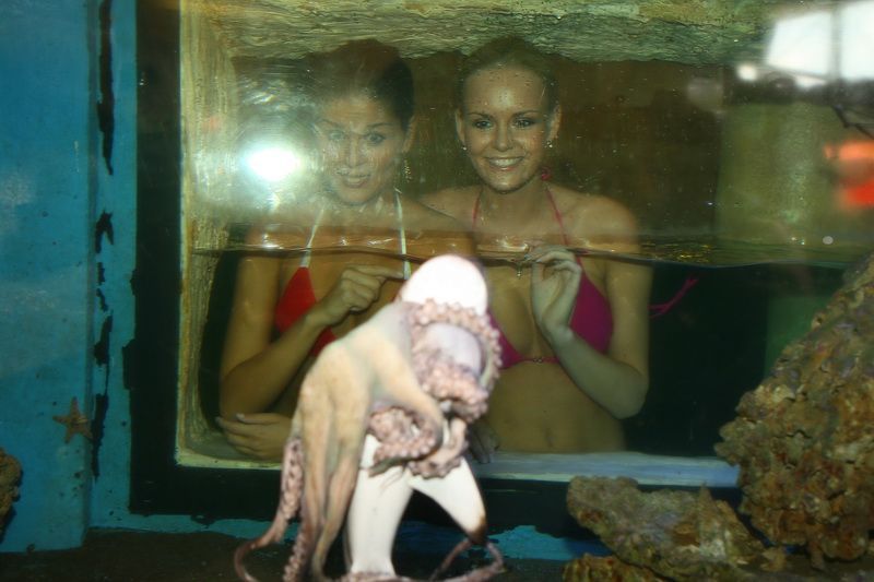 Křest žraloka - Lucie Hadašová a Elisavet Charalabidu