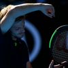Grigor Dimitrov proti Davidu Goffinovi ve čtvrtfinále Australian Open 2017