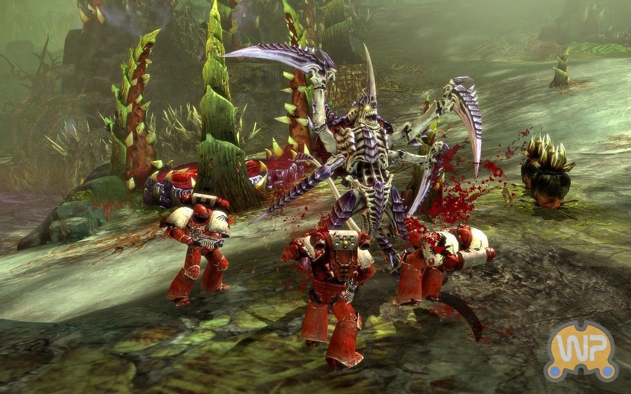 Warhammer 40 000: Dawn of War 2