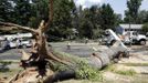 USA-WEATHER/STORM/ Description: Utility workers try to free up power lines after a huge tree fell across major road in Falls Church, Virginia July 2, 2012. Over a million people in the Washington metro area lost power after a violent storm tore across the region last Friday. Hundreds of thousands are still without power. REUTERS/Kevin Lamarque (UNITED STATES - Tags: SOCIETY ENVIRONMENT) Published: Čec. 2, 2012, 8 odp.