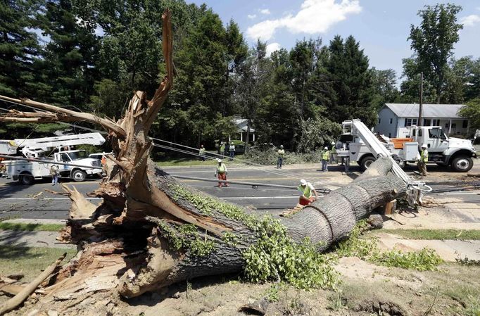 USA-WEATHER/STORM/ Description: Utility workers try to free up power lines after a huge tree fell across major road in Falls Church, Virginia July 2, 2012. Over a million people in the Washington metro area lost power after a violent storm tore across the region last Friday. Hundreds of thousands are still without power. REUTERS/Kevin Lamarque (UNITED STATES - Tags: SOCIETY ENVIRONMENT) Published: Čec. 2, 2012, 8 odp.