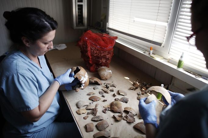 Forensic experts of the International Commission on Missing Persons (ICMP) work on trying to identify the remains of a victim of the Srebrenica massacre, at the ICMP centre near Tuzla July 9, 2012. Some 520 recently discovered Bosnian Muslim victims' remains from the Srebrenica massacre will be buried on July 11 at the Memorial center in Potocari. REUTERS/Dado Ruvic (BOSNIA AND HERZEGOVINA - Tags: CIVIL UNREST CRIME LAW DISASTER) Published: Čec. 9, 2012, 2:45 odp.