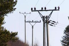Mladík lezl na elektrický sloup, zabil ho proud