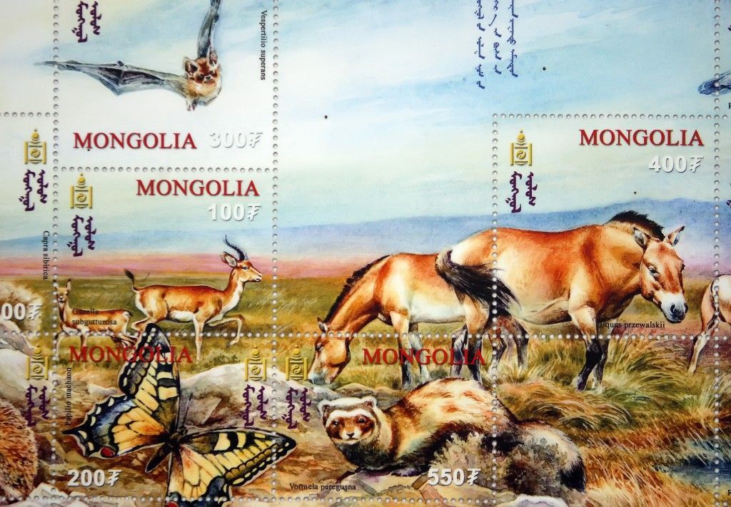 Odlet koně Převalského do Mongolska