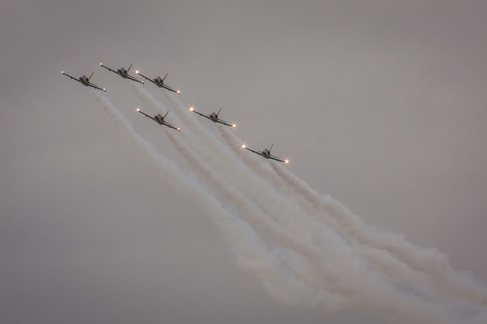6x L-39 - Baltic Bees