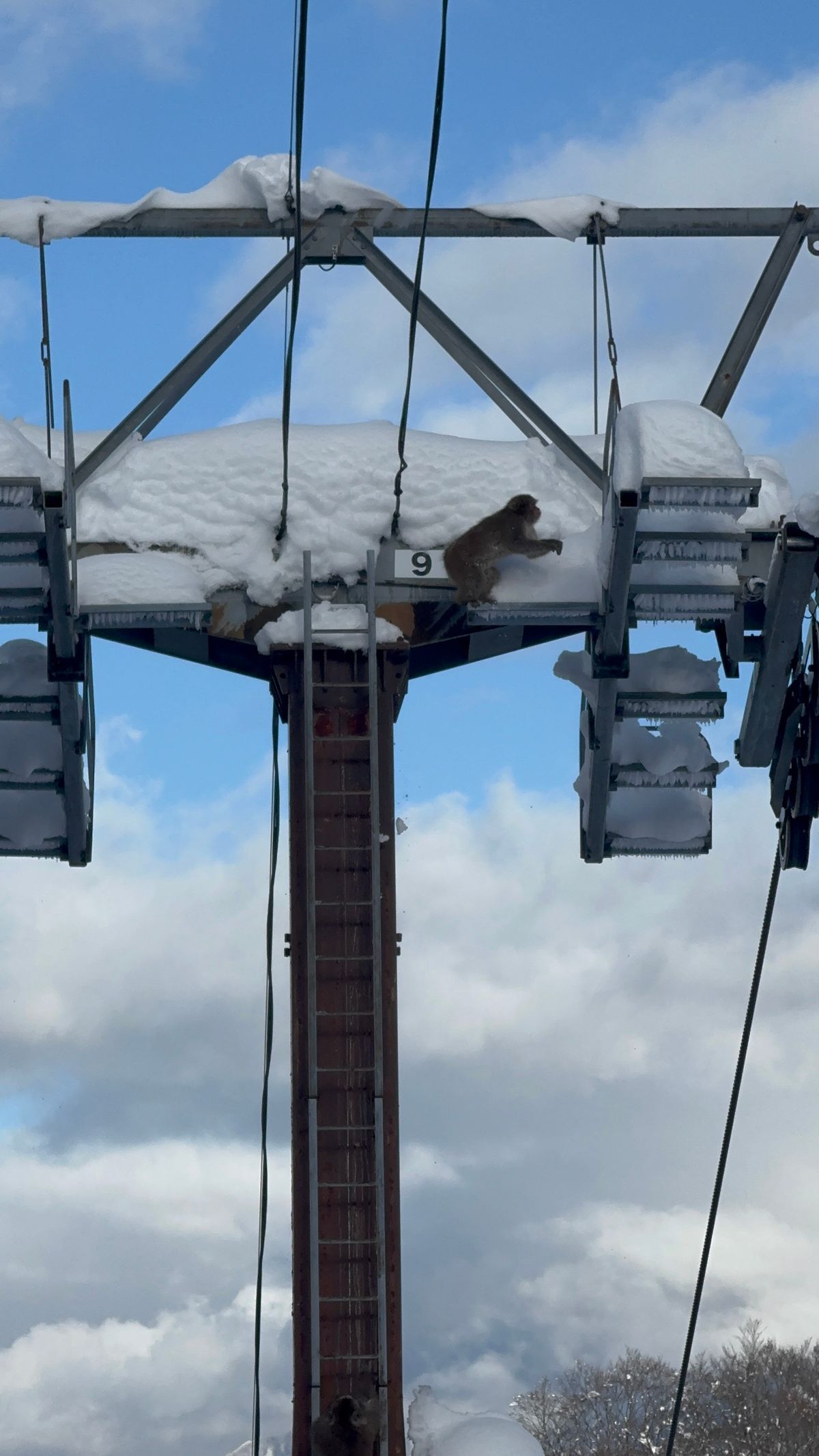 japonsko lyžování hakuba