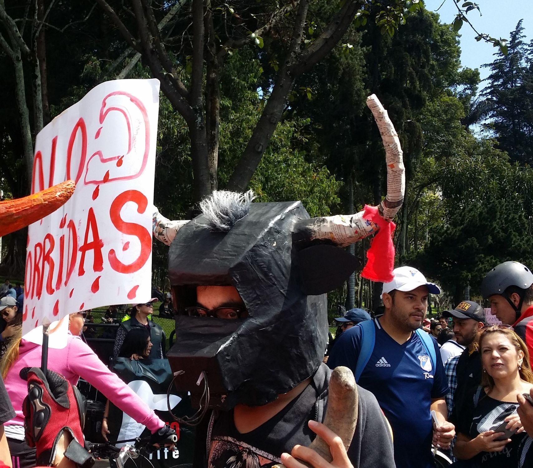 Kolumbie projednává zákaz býčích zápasů