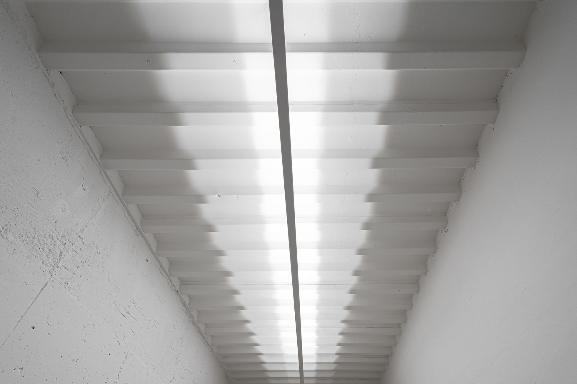 Věčná loviště (krematorium pro domácí mazlíčky)