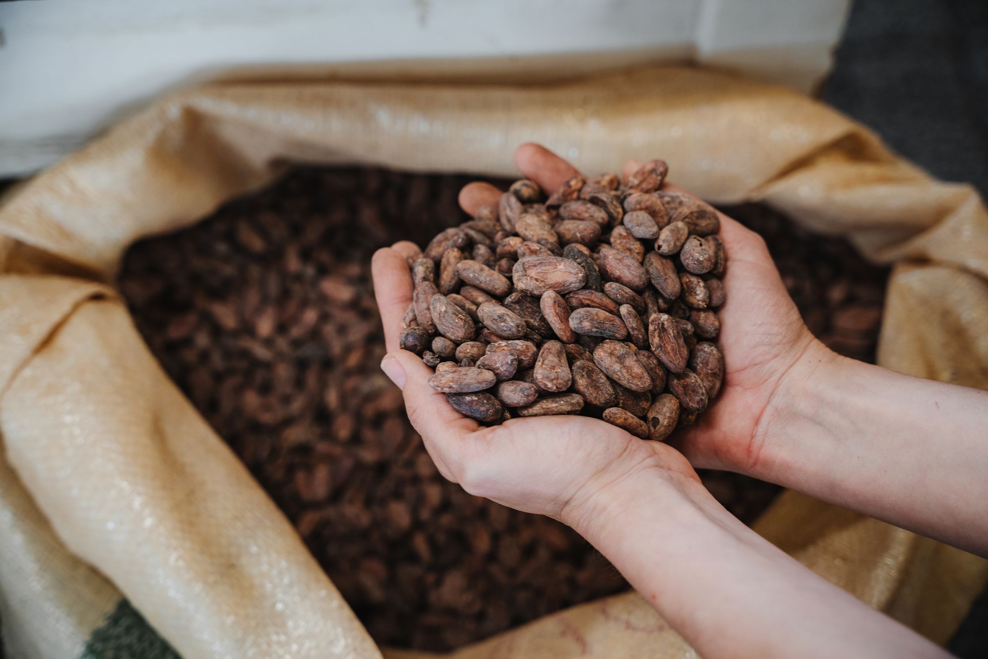 Ajala - výroba Bíteš