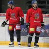 Česká hokejová reprezentace na tréninku před odletem na MS ve Švédsku a Finsku (David Krejčí, Ondřej Němec)