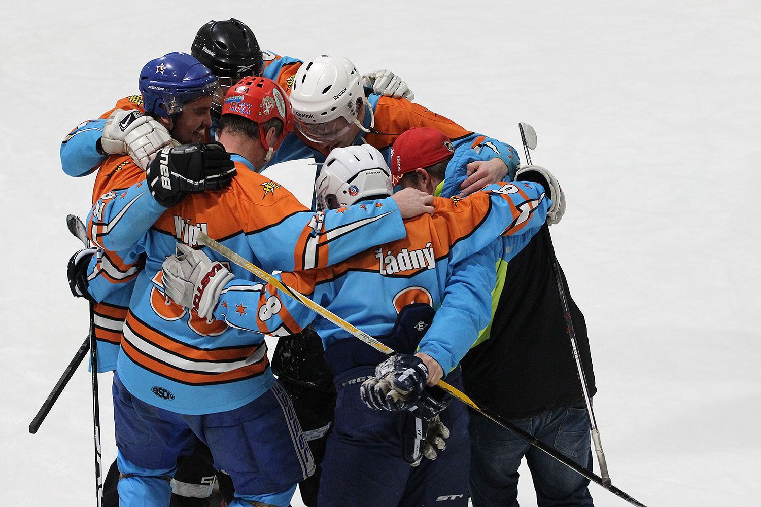 Mistrovství ČR a SR v rybníkovém hokeji