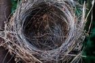 Ukrajinec pořídil všeříkající fotku. Tohle léto patří zbrani, před kterou není obrana
