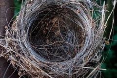 Ukrajinec pořídil všeříkající fotku. Tohle léto patří zbrani, před kterou není obrana