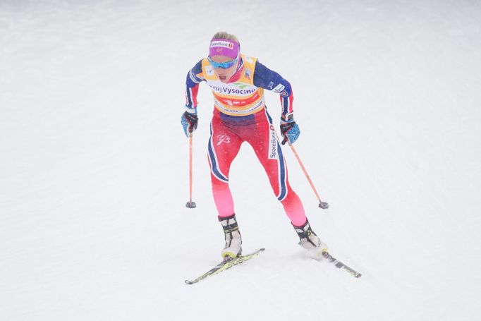 SP v NMNM 2016: Therese Johaugová