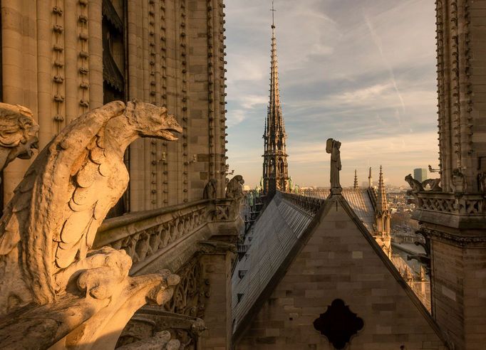 Chiméry na katedrále Notre-Dame v Paříži, leden 2017, s výhledem na město.