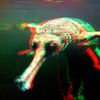 ZOO 3D