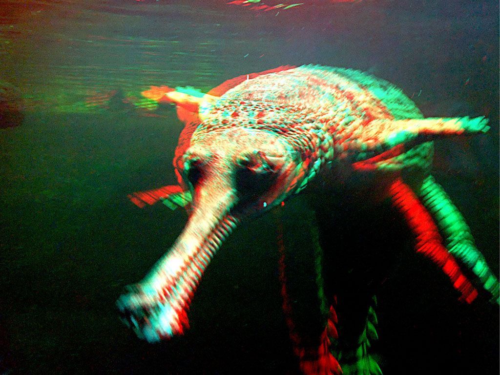 ZOO 3D