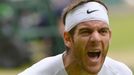 Tenis, Wimbledon, 2013: Juan Martin del Potro